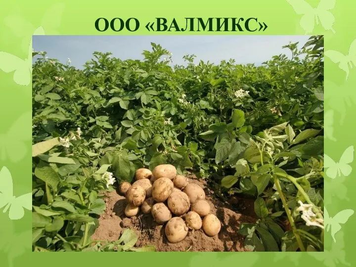 ООО «ВАЛМИКС»