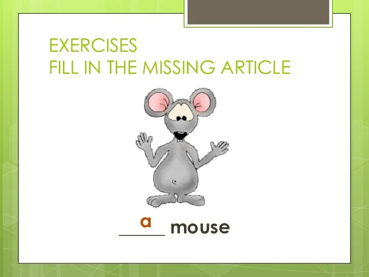 EXERCISES FILL IN THE MISSING ARTICLE _____ mouse a