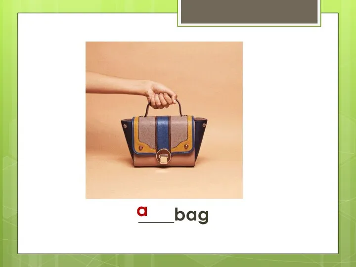 ____bag a