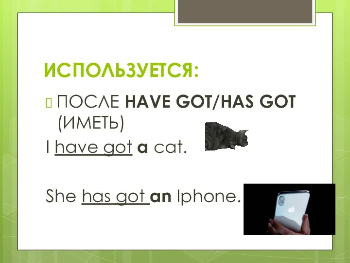 ПОСЛЕ HAVE GOT/HAS GOT (ИМЕТЬ) I have got a cat. She has got an Iphone. ИСПОЛЬЗУЕТСЯ: