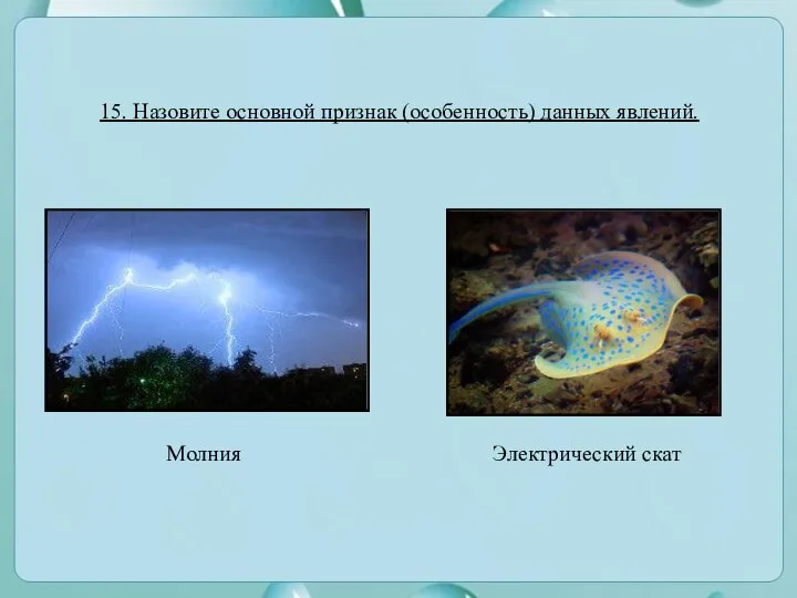 Молния 15. Назовите основной признак (особенность) данных явлений. Электрический скат