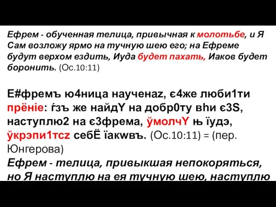 Ефрем - обученная телица, привычная к молотьбе, и Я Сам возложу ярмо