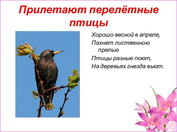 Прилетают перелётные птицы Хорошо весной в апреле, Пахнет лиственною прелью Птицы разные