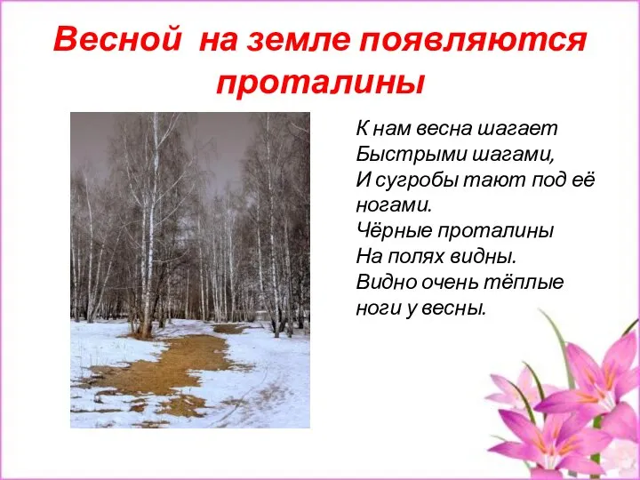 Весной на земле появляются проталины К нам весна шагает Быстрыми шагами, И