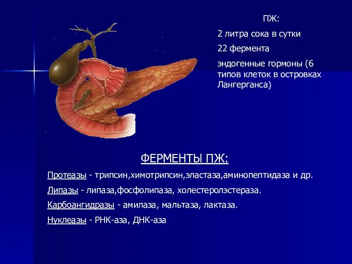 ПЖ: 2 литра сока в сутки 22 фермента эндогенные гормоны (6 типов