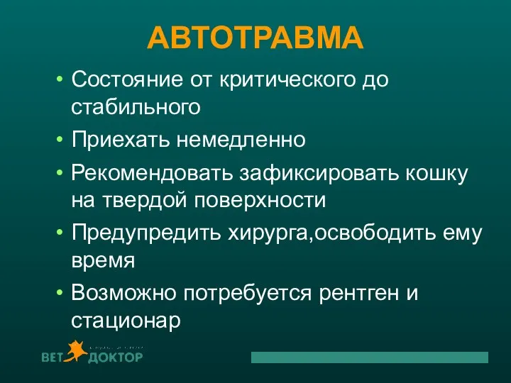 АВТОТРАВМА Состояние от критического до стабильного Приехать немедленно Рекомендовать зафиксировать кошку на