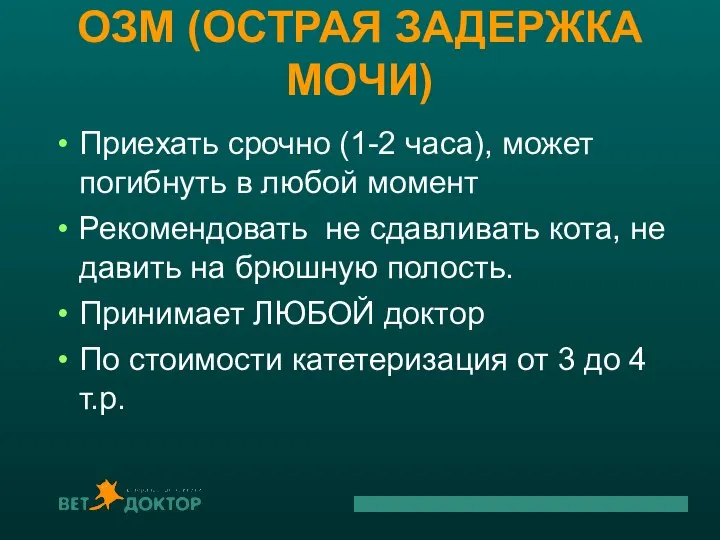 ОЗМ (ОСТРАЯ ЗАДЕРЖКА МОЧИ) Приехать срочно (1-2 часа), может погибнуть в любой