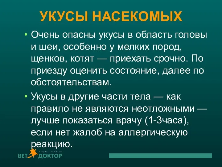 УКУСЫ НАСЕКОМЫХ Очень опасны укусы в область головы и шеи, особенно у