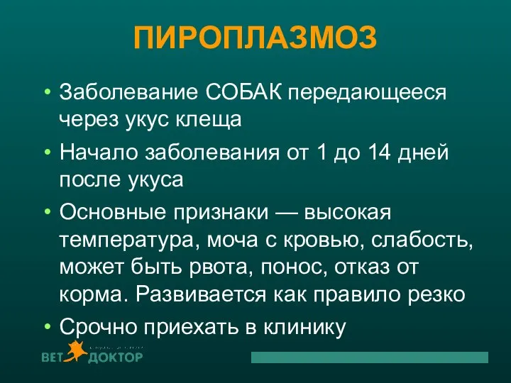 ПИРОПЛАЗМОЗ Заболевание СОБАК передающееся через укус клеща Начало заболевания от 1 до