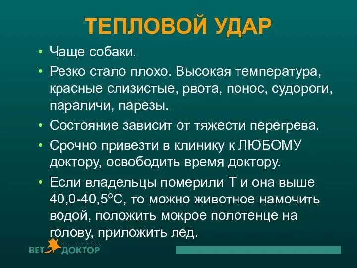 ТЕПЛОВОЙ УДАР Чаще собаки. Резко стало плохо. Высокая температура, красные слизистые, рвота,