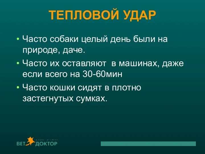 ТЕПЛОВОЙ УДАР Часто собаки целый день были на природе, даче. Часто их