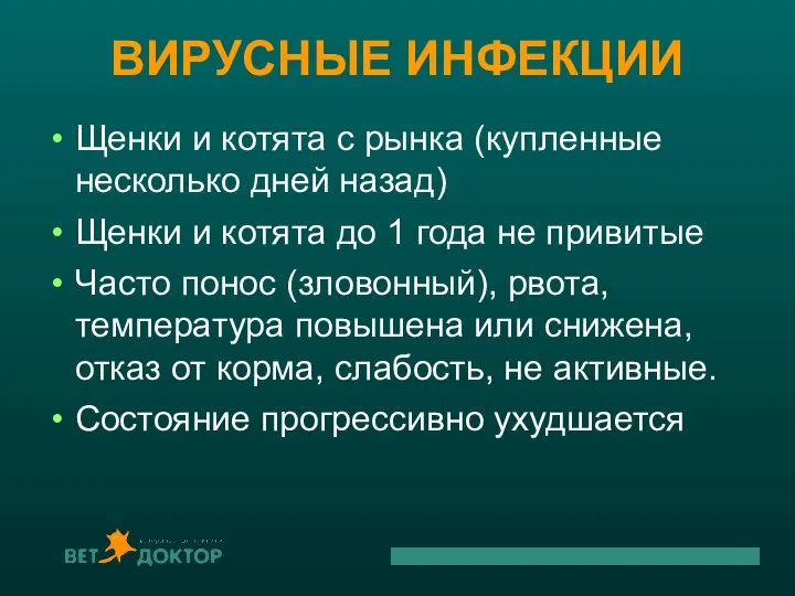 ВИРУСНЫЕ ИНФЕКЦИИ Щенки и котята с рынка (купленные несколько дней назад) Щенки