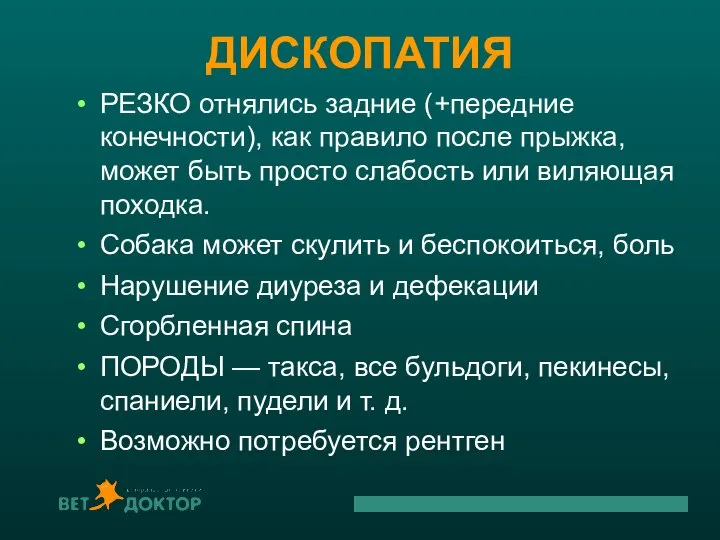 ДИСКОПАТИЯ РЕЗКО отнялись задние (+передние конечности), как правило после прыжка, может быть