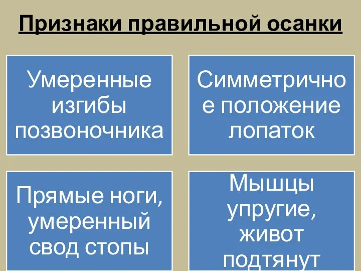 Признаки правильной осанки