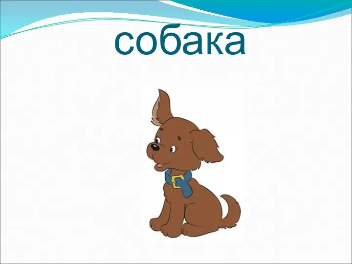 собака