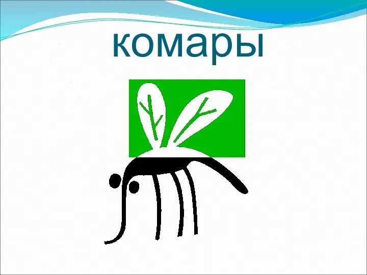 комары