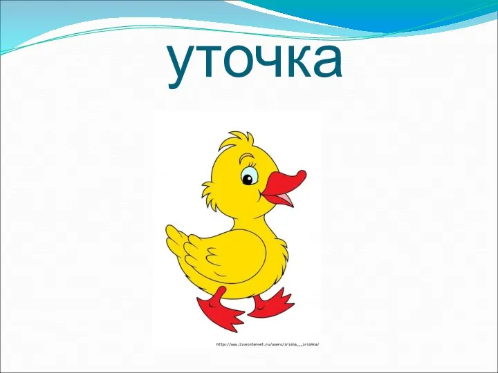 уточка