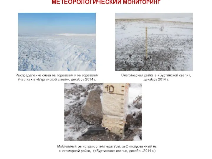МЕТЕОРОЛОГИЧЕСКИЙ МОНИТОРИНГ Распределение снега на горевшем и не горевшем участках в «Буртинской