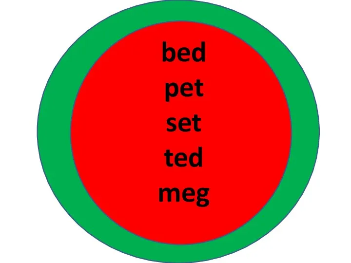 bed pet set ted meg