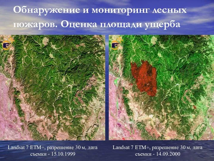 Обнаружение и мониторинг лесных пожаров. Оценка площади ущерба Landsat 7 ETM+, разрешение