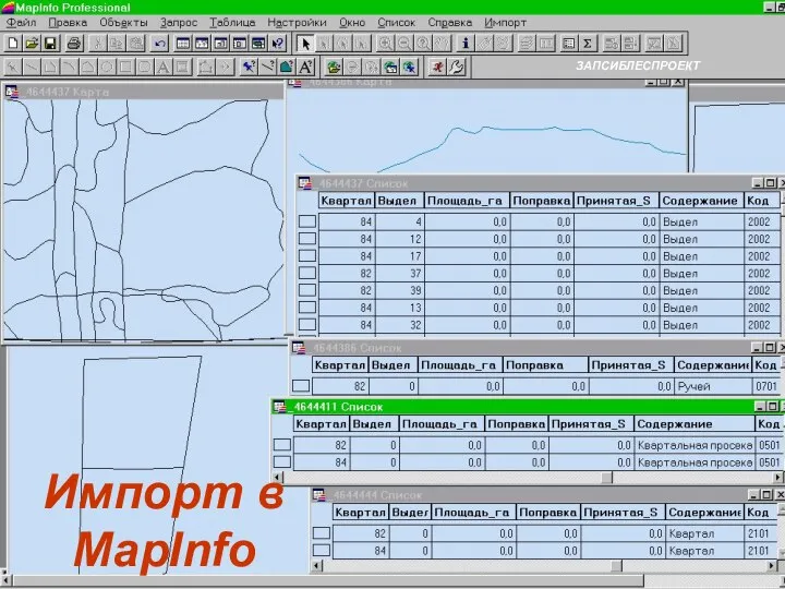 Импорт в MapInfo ЗАПСИБЛЕСПРОЕКТ