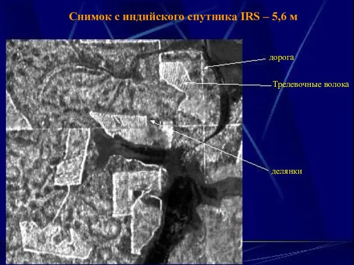 Снимок с индийского спутника IRS – 5,6 м дорога Трелевочные волока делянки