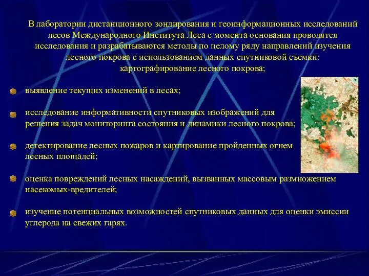 В лаборатории дистанционного зондирования и геоинформационных исследований лесов Международного Института Леса с