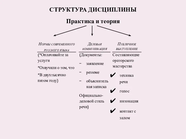 СТРУКТУРА ДИСЦИПЛИНЫ Практика и теория