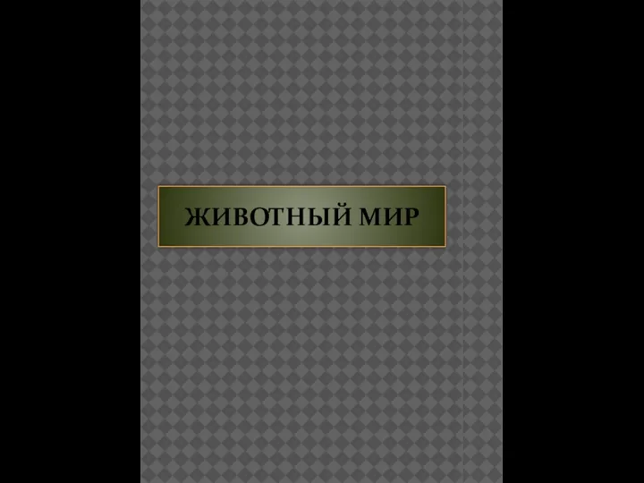 ЖИВОТНЫЙ МИР