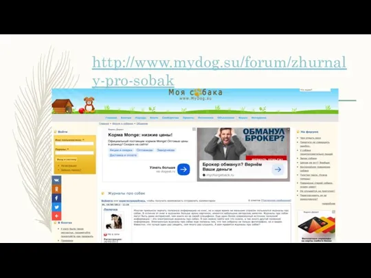 http://www.mydog.su/forum/zhurnaly-pro-sobak