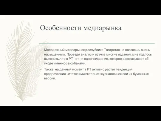 Особенности медиарынка Молодежный медиарынок республики Татарстан не назовешь очень насыщенным. Проведя анализ