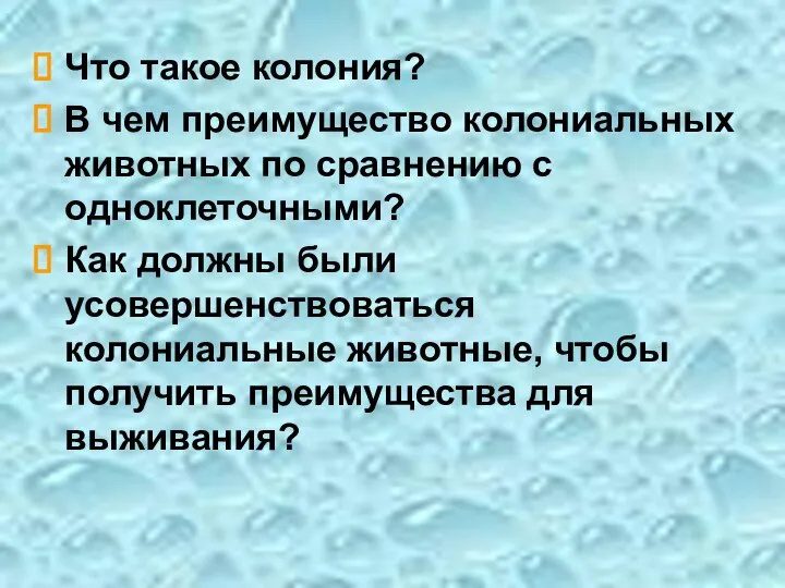 Что такое колония? В чем преимущество колониальных животных по сравнению с одноклеточными?