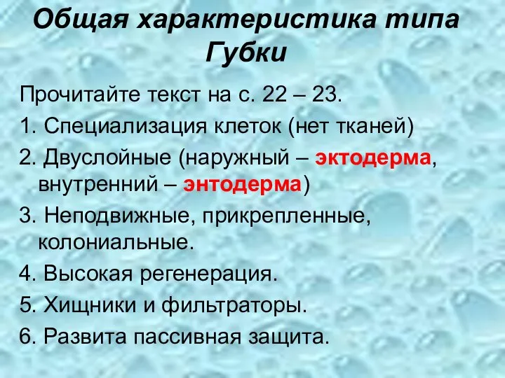 Общая характеристика типа Губки Прочитайте текст на с. 22 – 23. 1.