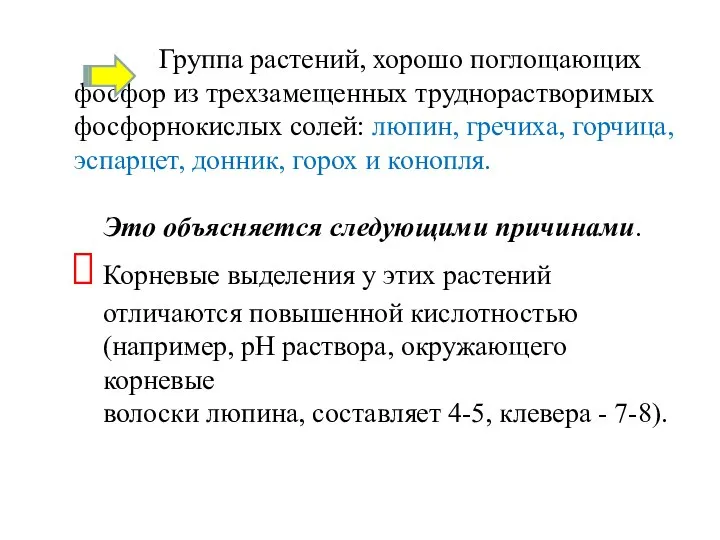 Группа растений, хорошо поглощающих фосфор из трехзамещенных труднорастворимых фосфорнокислых солей: люпин, гречиха,