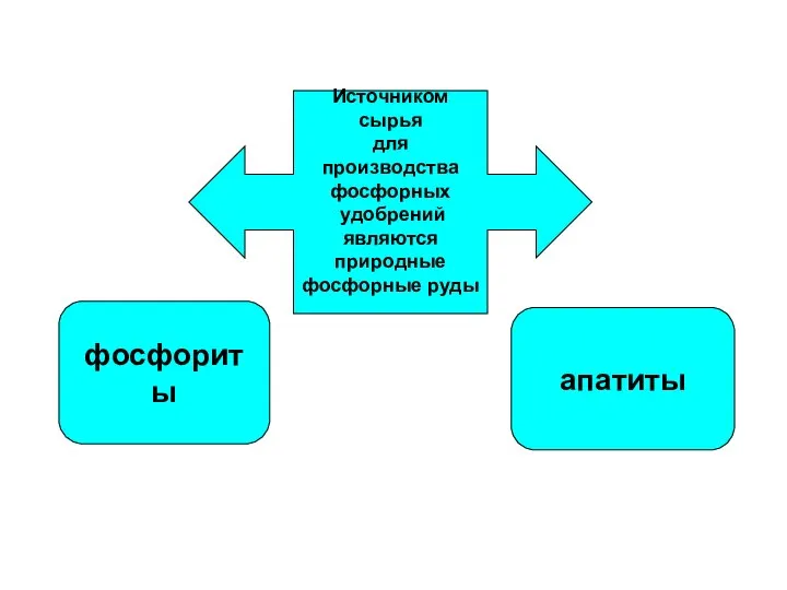 Источником сырья для производства фосфорных удобрений являются природные фосфорные руды фосфориты апатиты