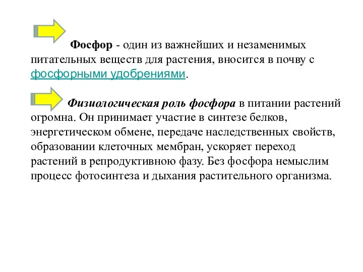 Фосфор - один из важнейших и незаменимых питательных веществ для растения, вносится