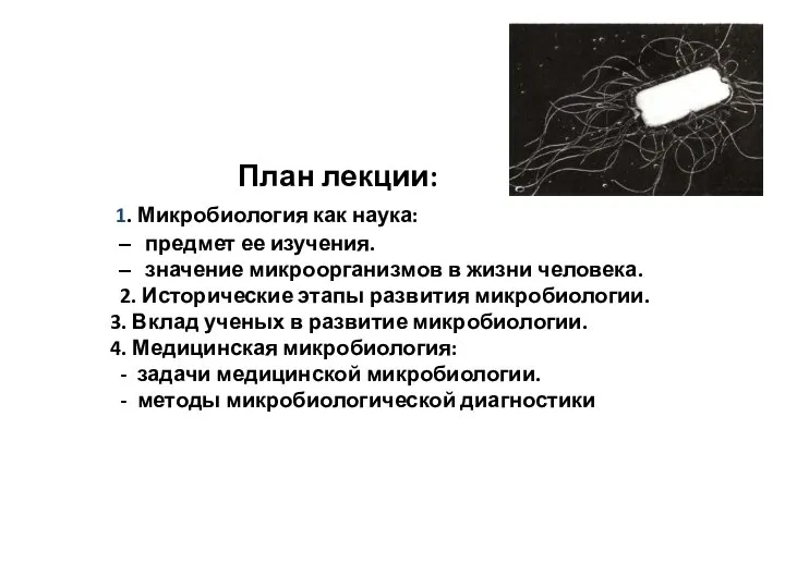 План лекции: 1. Микробиология как наука: предмет ее изучения. значение микроорганизмов в