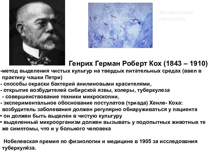 Mycobacterium tuberculosis Генрих Герман Роберт Кох (1843 – 1910) метод выделения чистых