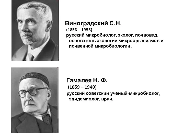 Виноградский С.Н. (1856 – 1953) русский микробиолог, эколог, почвовед, основатель экологии микроорганизмов