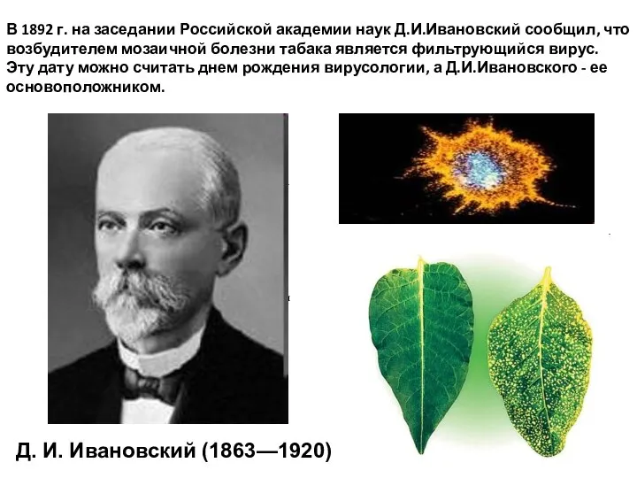 а я В 1892 г. на заседании Российской академии наук Д.И.Ивановский сообщил,
