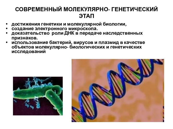 СОВРЕМЕННЫЙ МОЛЕКУЛЯРНО- ГЕНЕТИЧЕСКИЙ ЭТАП достижения генетики и молекулярной биологии, создание электронного микроскопа.