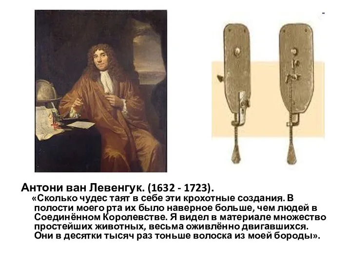 Антони ван Левенгук. (1632 - 1723). «Сколько чудес таят в себе эти