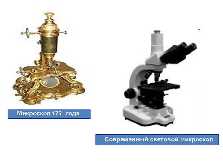 Микроскоп 1751 года Современный световой микроскоп