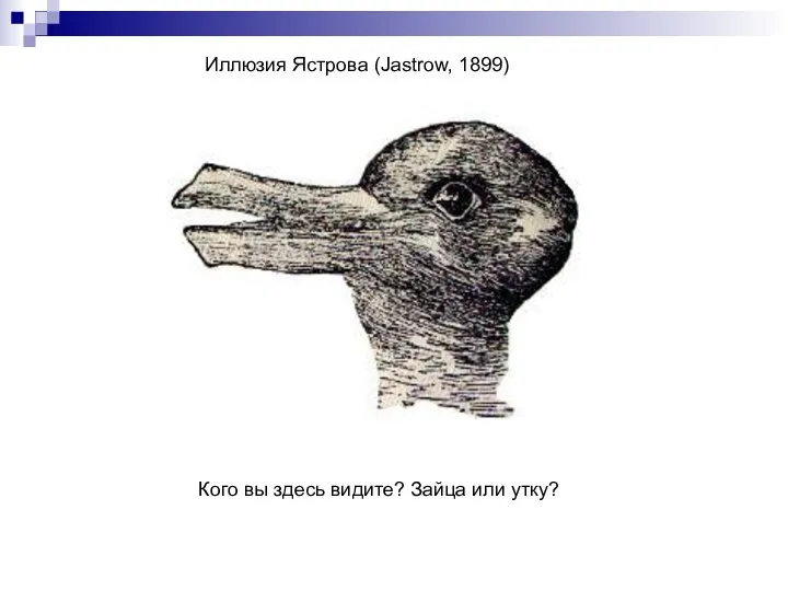 Иллюзия Ястрова (Jastrow, 1899) Кого вы здесь видите? Зайца или утку?