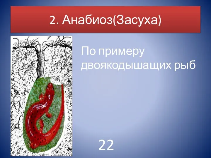 2. Анабиоз(Засуха) По примеру двоякодышащих рыб 22