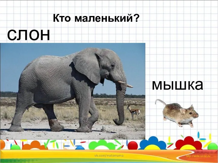 Кто маленький? слон мышка vk.com/matemama