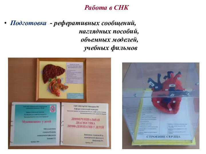 Работа в СНК Подготовка - реферативных сообщений, наглядных пособий, объемных моделей, учебных фильмов