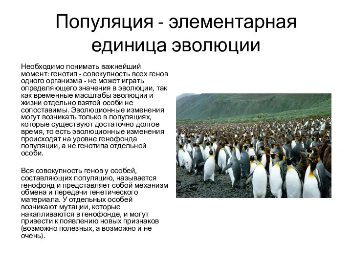 Популяция - элементарная единица эволюции Необходимо понимать важнейший момент: генотип - совокупность