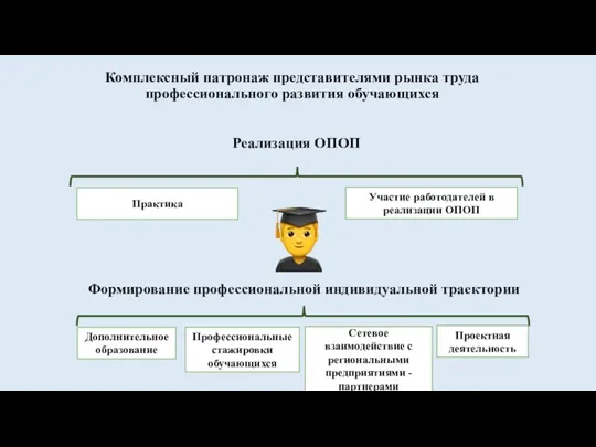 Комплексный патронаж представителями рынка труда профессионального развития обучающихся Практика Участие работодателей в