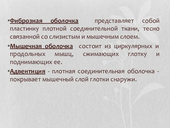 Фиброзная оболочка представляет собой пластинку плотной соединительной ткани, тесно связанной со слизистым